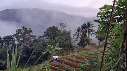 Pilih tingaal di kota apa di kampung dengan suasana pegunungan dan sawah