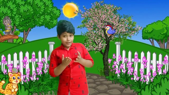 Am Special Song | Nursery Rhymes Songs for Childrens | Rhymes For Kids | Amulya Kids.