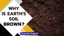 The Earth's soil brown colour comes from minerals and organic materials | Know all | Oneindia News