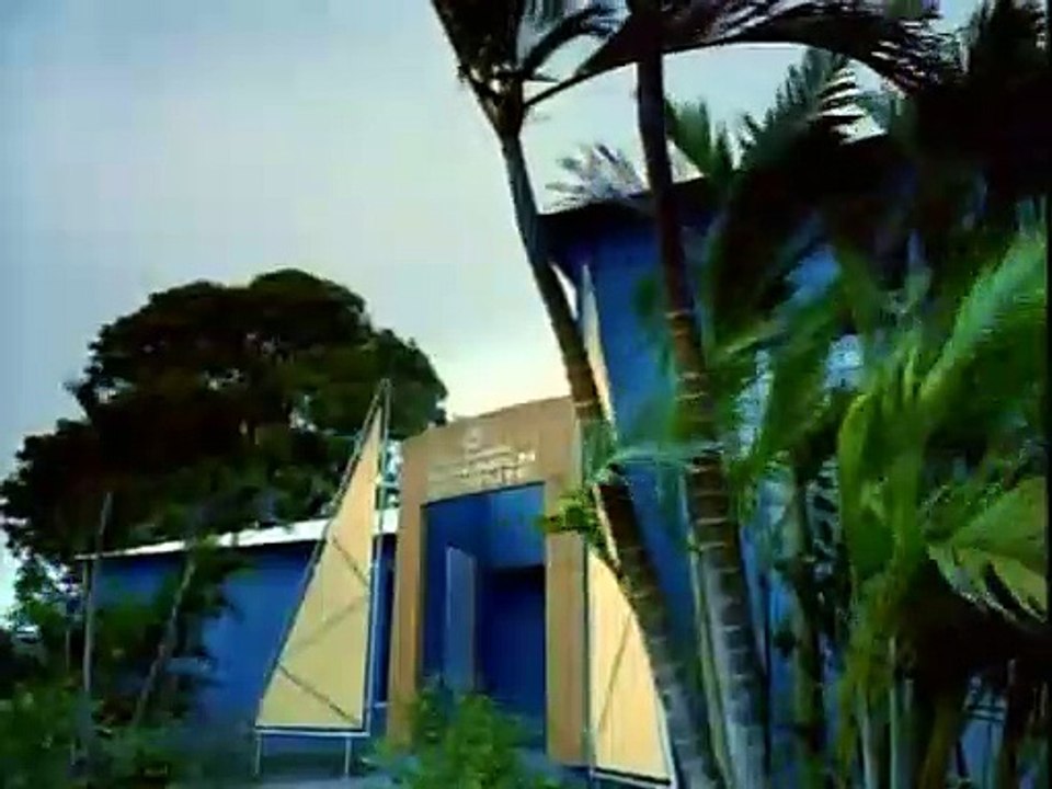 Flipper 1995 S01e14 Hurricane