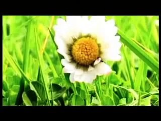 Cehenneme girmemek için yapılması gereken 4 şey