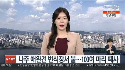 나주 애완견 번식장서 불…몰티즈 등 100여 마리 폐사
