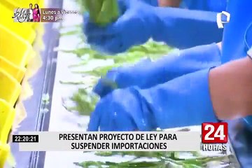 Congreso: presentan proyecto para suspender importación de productos peruanos