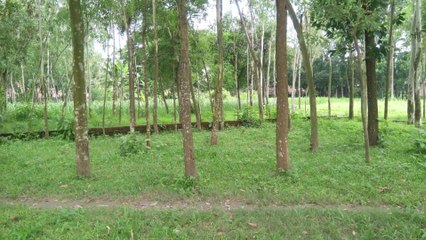 Very early in the morning the beach looks weird