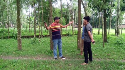 Strange what was done with that creature that day