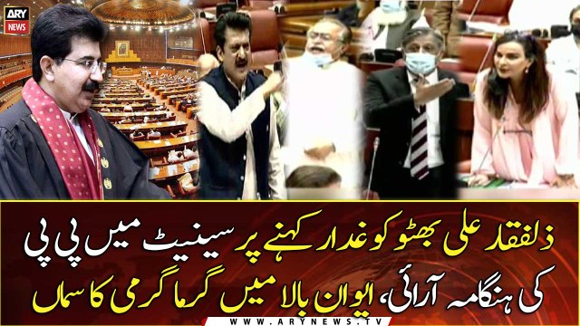 Senate ijlaas kay doran PPP ki hangama arai ...