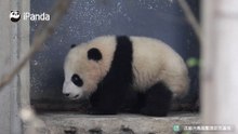 今天小卖部开门太晚啦