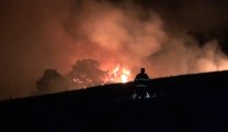 Palermo - Vento forte, numerosi incendi in provincia (14.07.21)