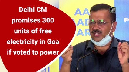 AAP vows free electricity in Goa if voted to power