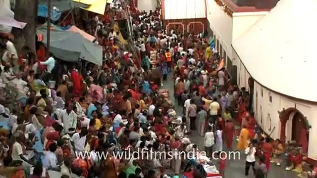 Ambubachi mela 2011 in Guwahati, Assam