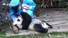 奶妈的温柔都给你了