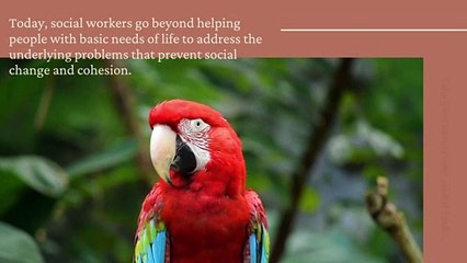 Jim McFarland Joliet Speaks on Right to Live