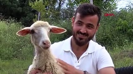 Köyüne döndü, hibe desteğiyle 3 yılda 250 bin TL kazandı