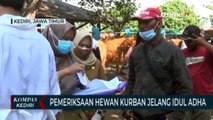 Jelang Idul Adha Dinas Ketahanan Pangan Dan Peternakan Kabupaten Kediri Sidak Ke Pasar Hewan