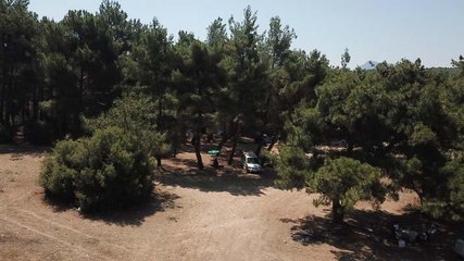 İzmir'de ormanlarda piknik yasağı