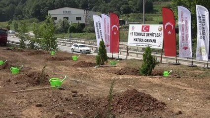 Son dakika: 15 Temmuz Şehitleri Hatıra Ormanı'na yeni fidanlar