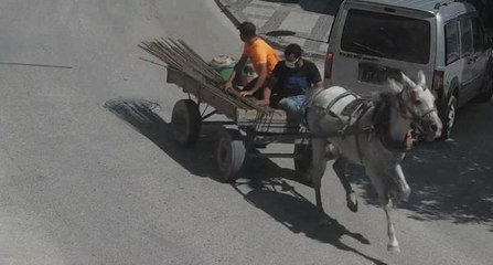 HIRSIZLIK ŞÜPHELİLERİNİN POLİSTEN AT ARABASIYLA KAÇIŞI KAMERADA