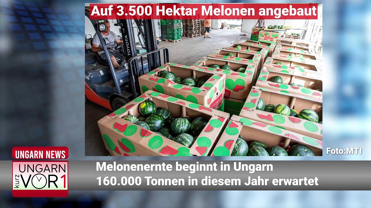 Kurz vor 1 - Nachrichten am Mittag aus Ungarn (14.07.)