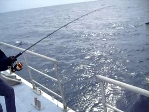 jigging denti part 1