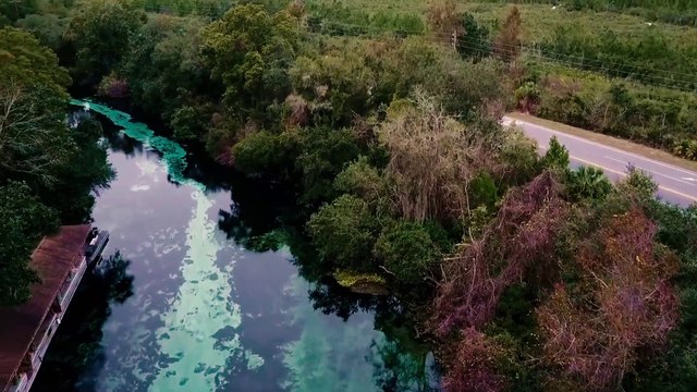 Weeki Wachie Springs State Park (Weeki Wachie, FL) - 4K UHD Travel Video & Review