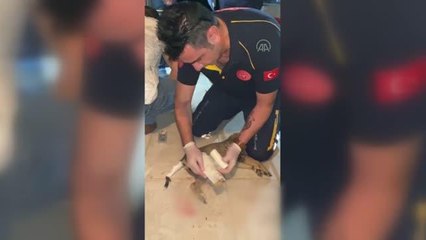 AFYONKARAHİSAR - 112 ekibi, yaralı köpeğin yardımına koştu