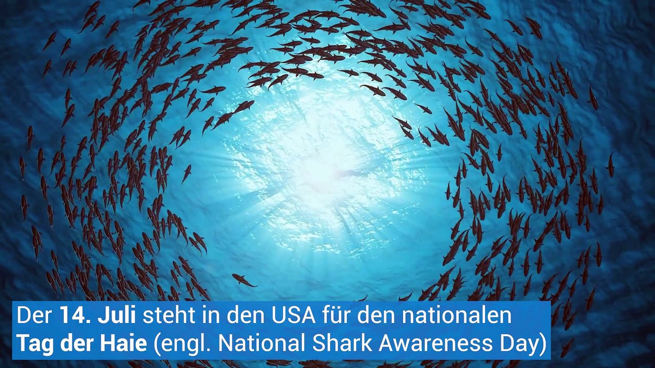 Imposant! Tag der Haie