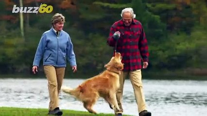 Dogs are More Than Man’s Best Friend, They’re Family