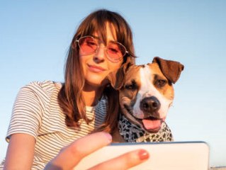 Tierische Hitzephase: Das musst du über die "Hundstage" wissen