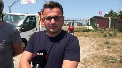 Sivrisinekler kabus olmasın: Saksı altlıkları, lastik içleri, kullanılmayan bidonlara dikkat