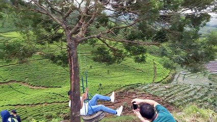 a beautiful small hill in the middle of a beautiful tea plantation