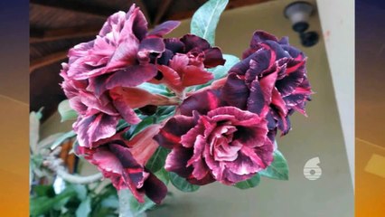 02 - Headlines with Fazeer: 14th July, 2021