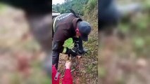Lagarto com anzol na boca é resgatado pelos bombeiros no Vale do Itajaí