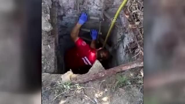 Son dakika! KIRIKKALE - Kuyuya düşen köpeği itfaiye kurtardı