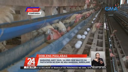 Скачать видео: Mabahong amoy dahil sa hindi raw maayos na pagtatapon ng dumi ng mga manukan, inireklamo | 24 Oras