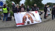 Manifestation contre les expériences sur les animaux devant les laboratoires de Janssen