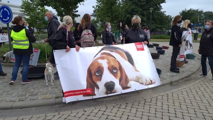 Manifestation contre les expériences sur les animaux devant les laboratoires de Janssen