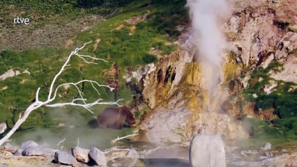 El reino de los osos y los volcanes. Rusia salvaje.