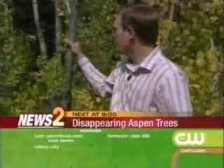 The CW Credits/KWGN 9PM Open - 2006