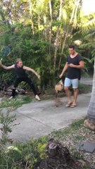 Il s'amuse à renverser tous les McDo de son pote pour l'empêcher de grossir