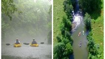 Ontario Is Home To The 'Canadian Amazon' & You Can Paddle Through Vine-Covered Trees