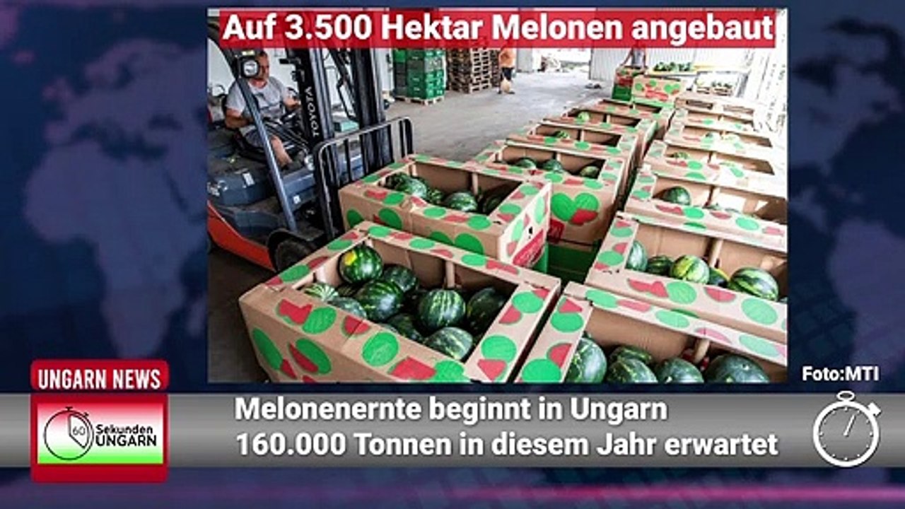 60 Sekunden Ungarn - Schlagzeilen vom 14.07.2021