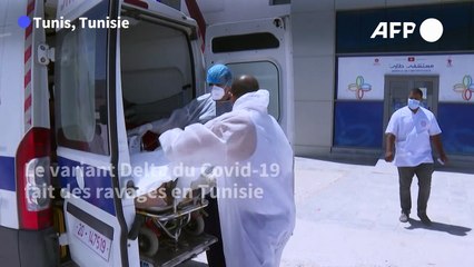 Tunisie: un hôpital provisoire débordé par l'afflux de patients Covid