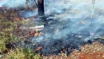 Incêndio toma conta de grande área de vegetação no Universitário