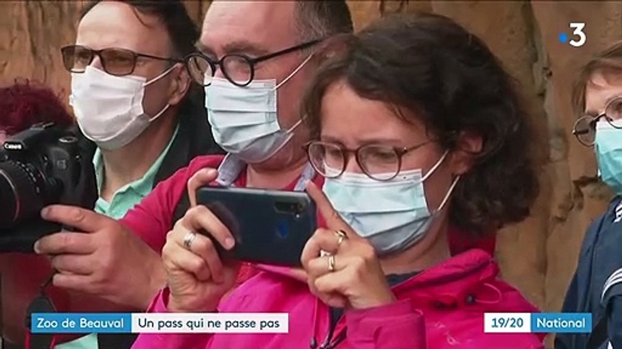 Pass sanitaires : inquiétudes au zoo de Beauval