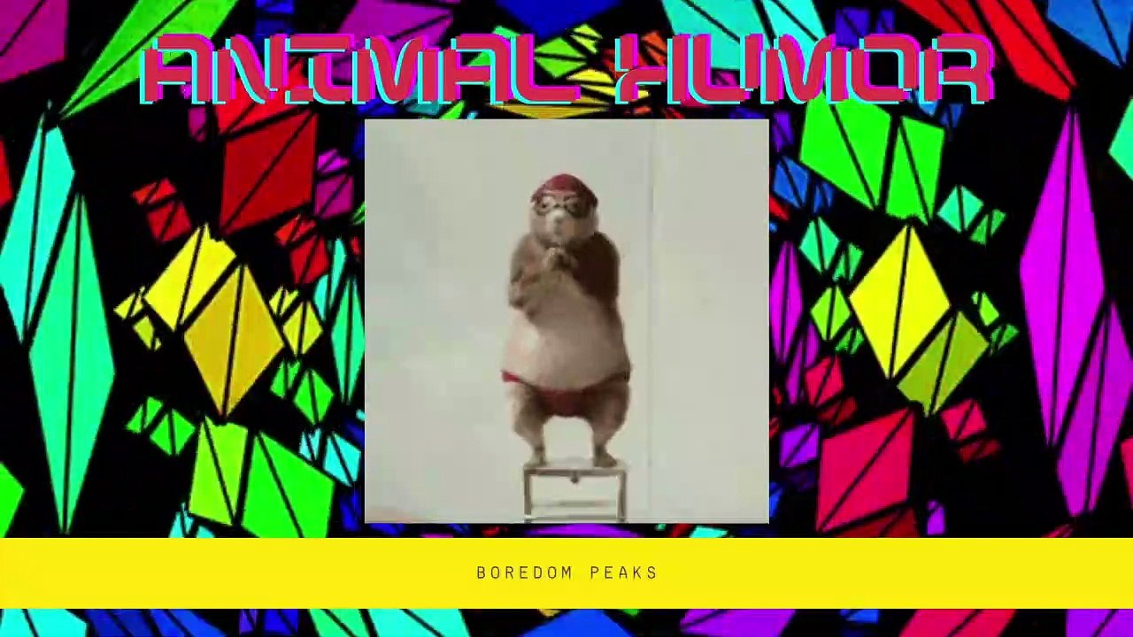 Meme Compilation #52 | Boredom Peaks