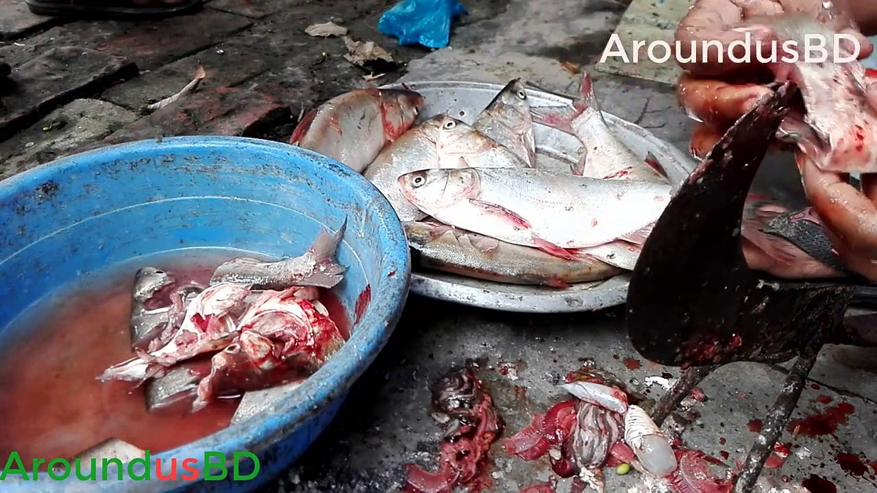 Amazing big fish cutting process Village Girls amazing big fish cutting skills Village girls