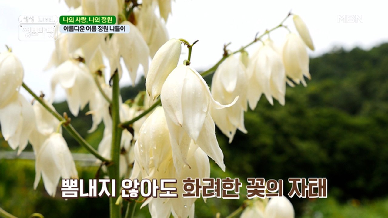 아름다운 여름 정원 나들이