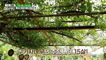 사람이 좋아하는 건 벌레도 좋아한다!