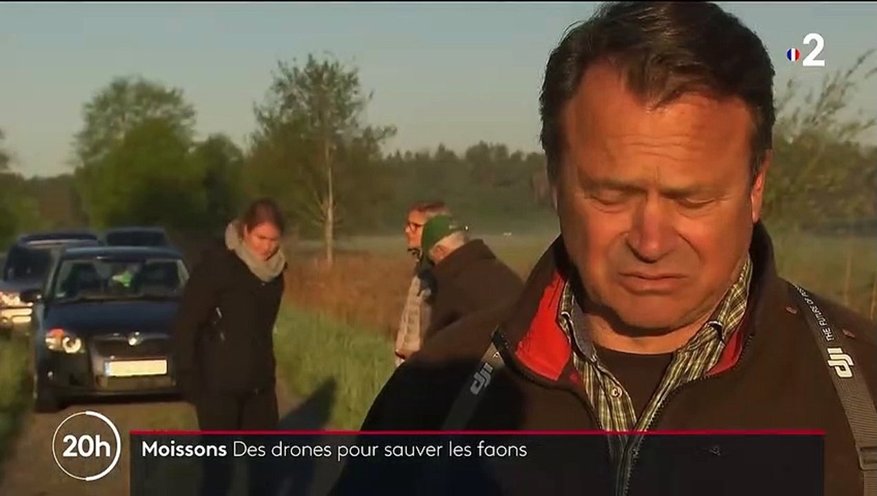 Allemagne : quand les agriculteurs sauvent les faons des moissonneuses