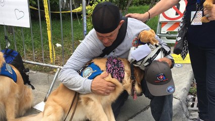 Golden Retrievers Bring Comfort To Surfside First Responders